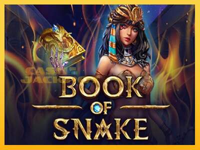 Срећа је на вашој страни са уређајем Book of Snake