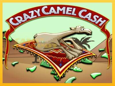 Срећа је на вашој страни са уређајем Crazy Camel Cash