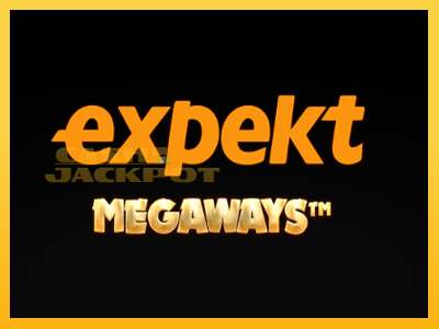 Срећа је на вашој страни са уређајем Expekt Megaways