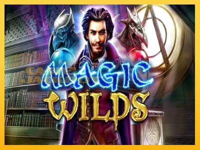 Срећа је на вашој страни са уређајем Magic Wilds