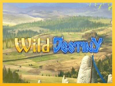 Срећа је на вашој страни са уређајем Wild Destiny