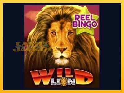 Срећа је на вашој страни са уређајем Wild Lion with Reel Bingo